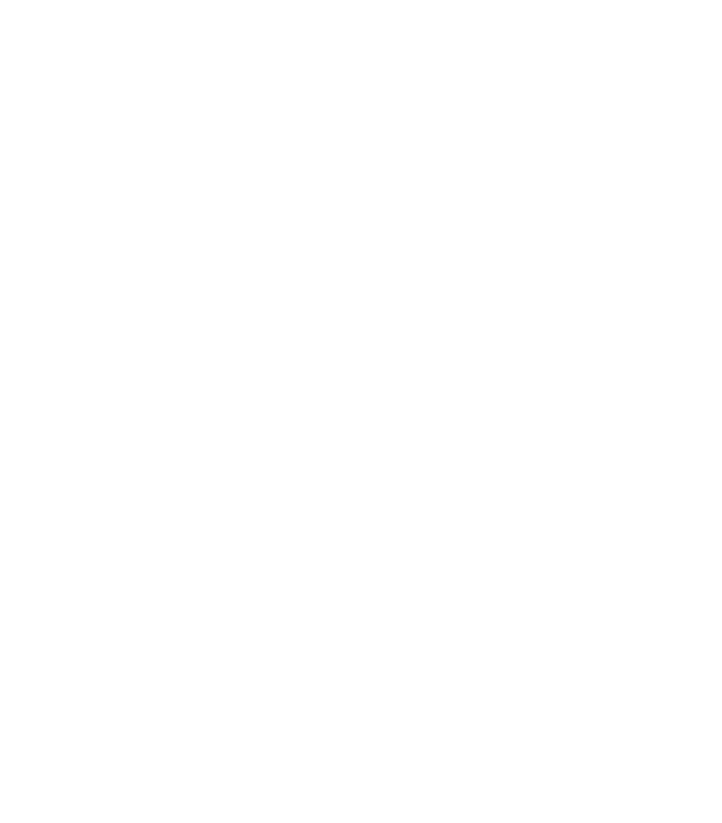TripAdvisor Traveller's Choice Award