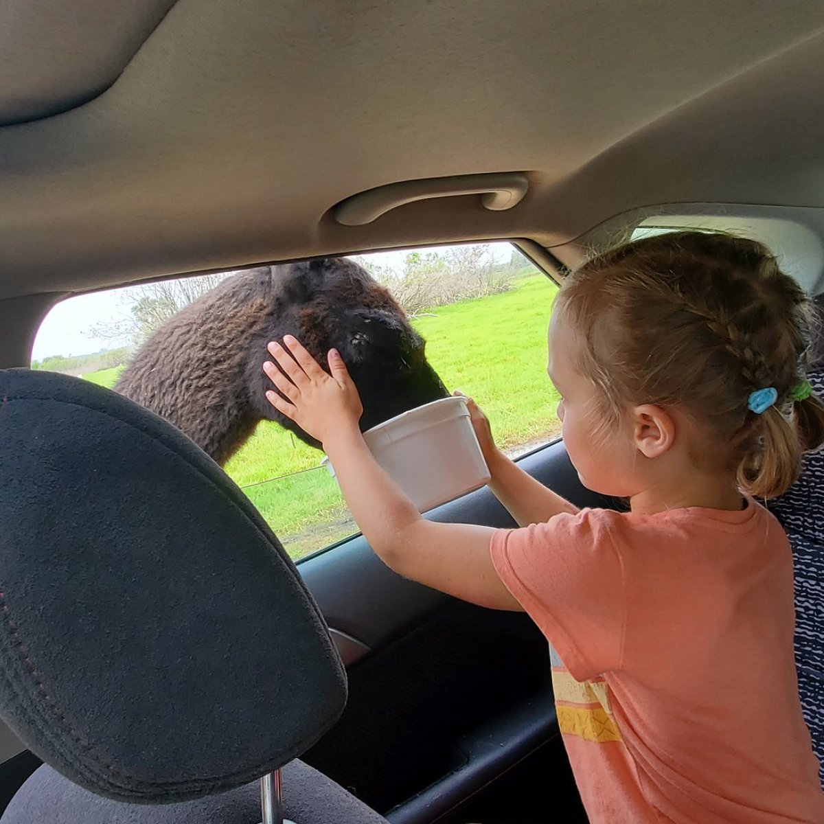 a person riding on the back seat of a car