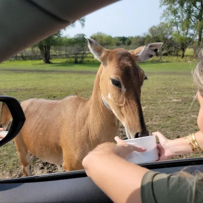 a person holding an animal