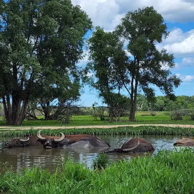 a pond next to a body of water