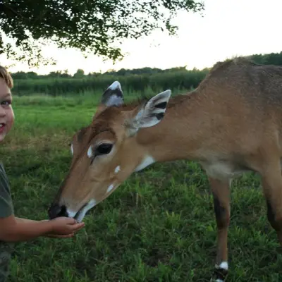 a little boy that is standing in the grass