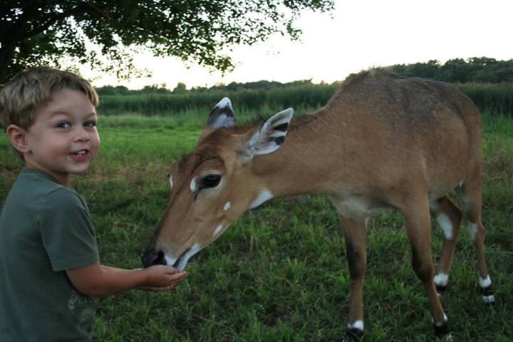 a little boy that is standing in the grass
