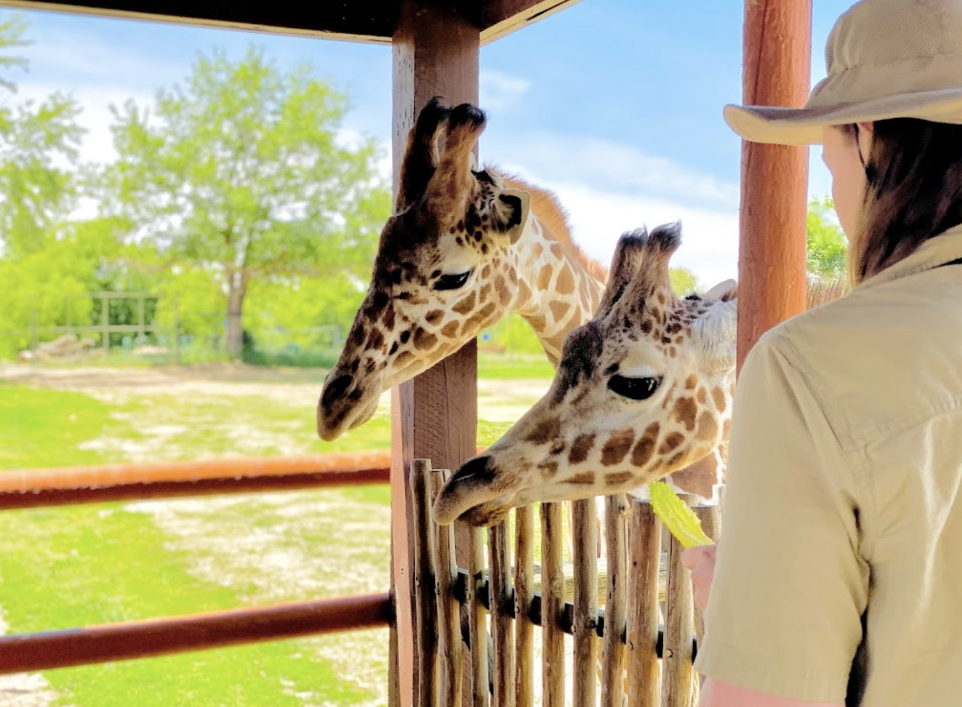 Screen Shot 2022-07-28 at 3.11.12 PM