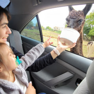 a small child sitting on the seat of a car