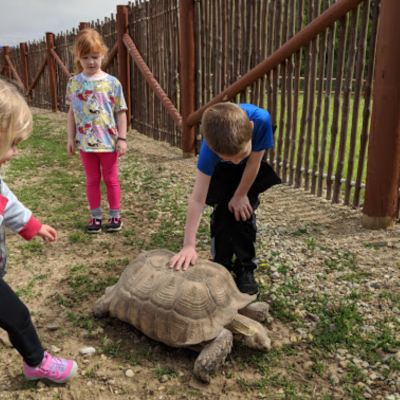 a group of young children playing in a park
