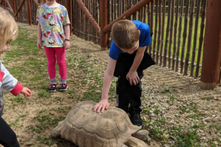 a group of young children playing in a park
