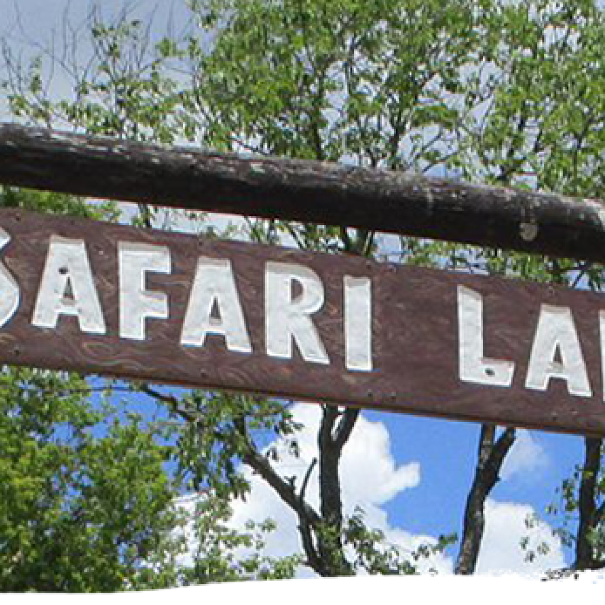 a close up of a street sign hanging from a tree