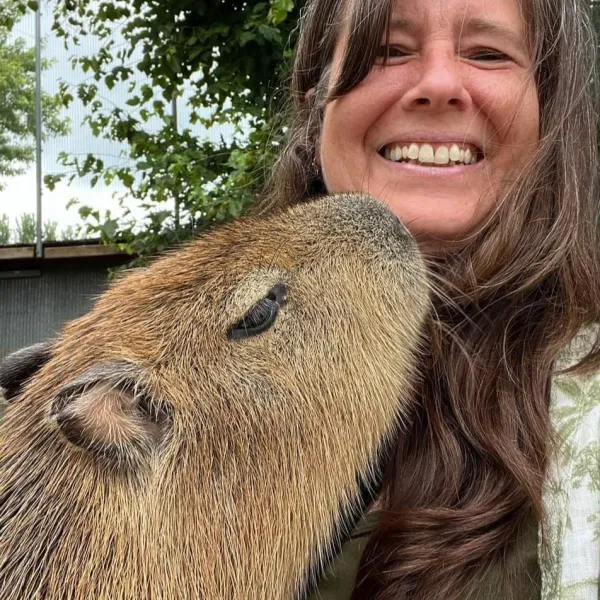 a close up of an animal