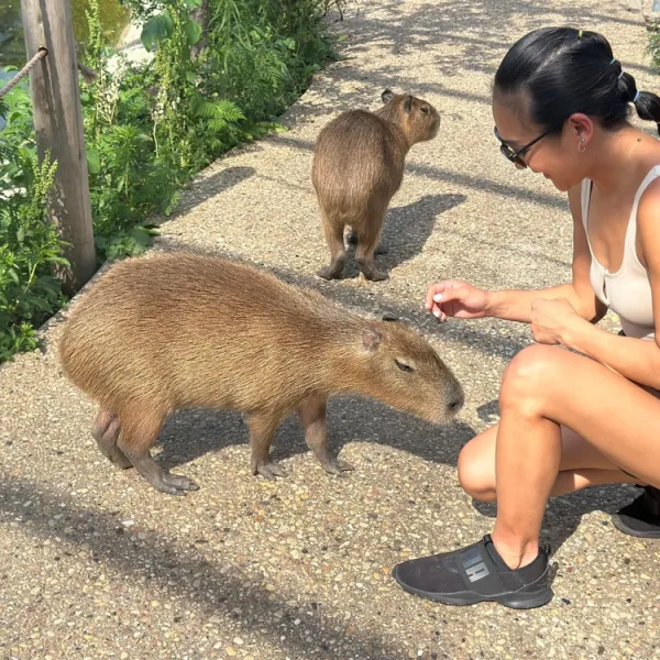 a woman petting a dog